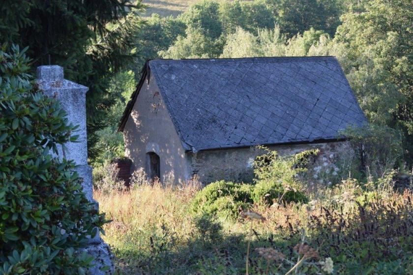 márnice
