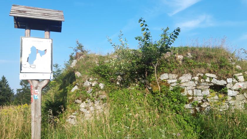 Karpieň