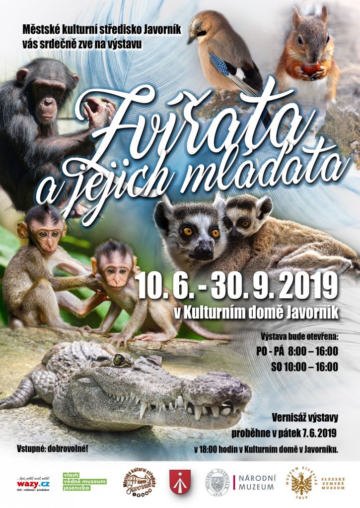 Zvířata a jejich mláďata