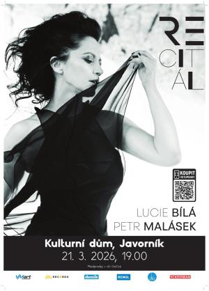 koncert v kulturním domě